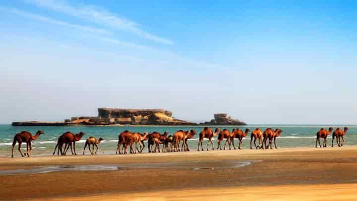 راهنمای سفر به قشم - چگونه به جزیره زیبای قشم سفر کنیم؟