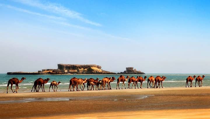 راهنمای سفر به قشم - چگونه به جزیره زیبای قشم سفر کنیم؟