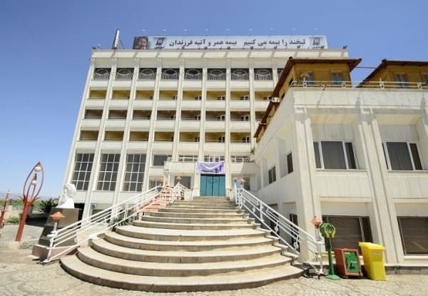 کاملیا