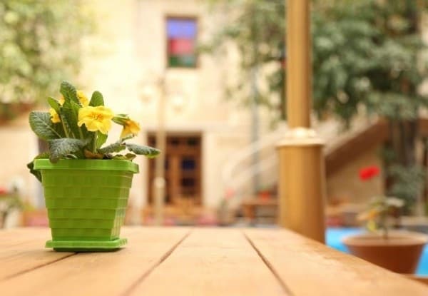 Hotel image 2