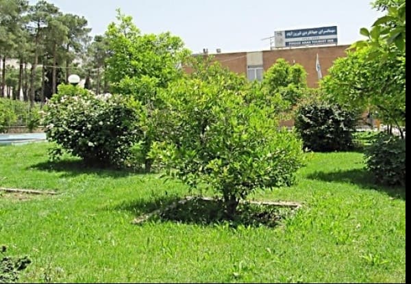 Main hotel image