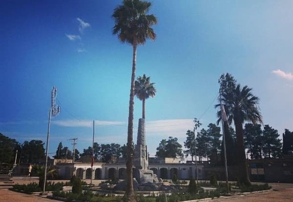 شیدگر