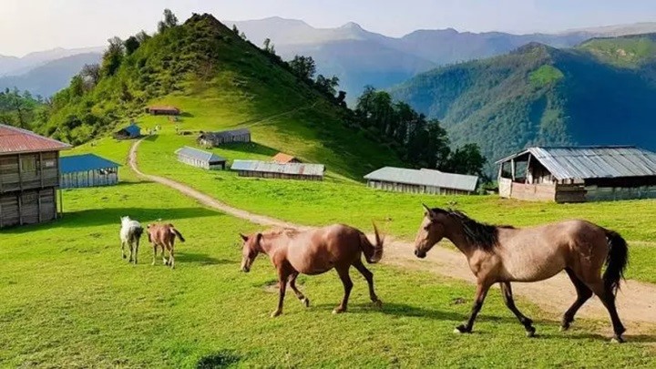 آزادراه تهران شمال