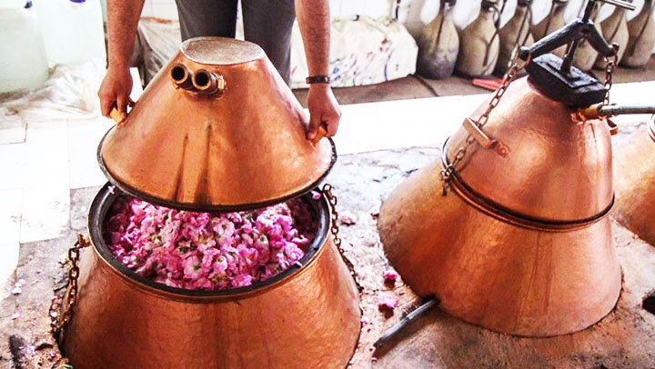 کاشان، شهر خانههای تاریخی و گلستانها