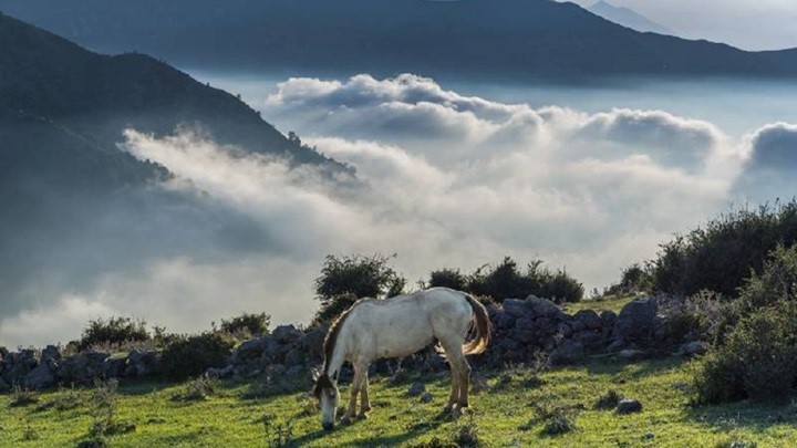 فیلبند: بهشت روی ابرها