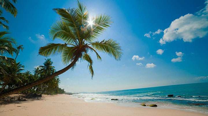 تفریحات هیجانانگیز جزیره کیش